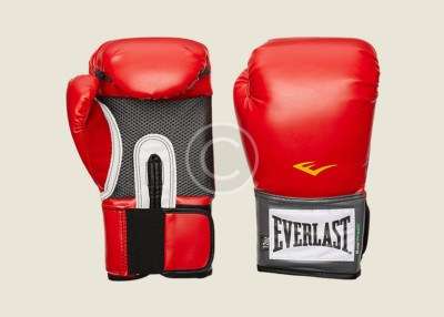 Excellence Pro-Style Boxing Gloves